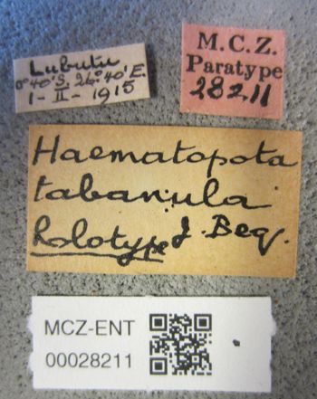 Media type: image;   Entomology 28211 Description: Specimen documentation photo of labelsfrom specimen MCZ:Ent:28211, captured on2025-04-30;  Aspect: labels